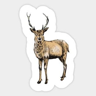 Deer Print Sticker